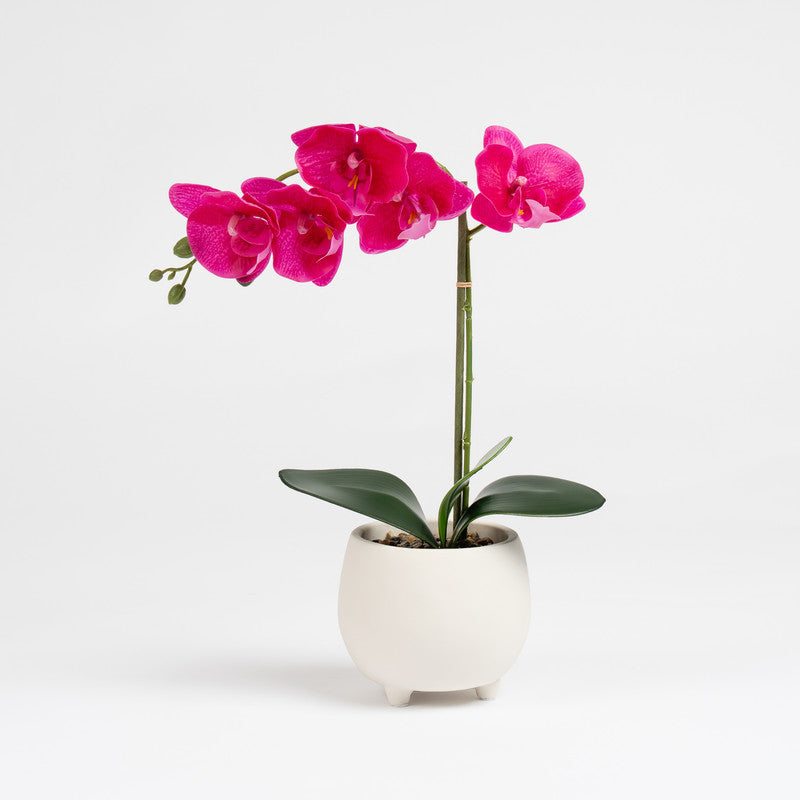 40cm Artificial Pink Orchid in Cement pot